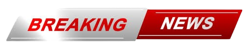 Kostenlose Ausbildung Trading Investieren Investigativer Journalismus